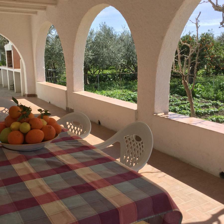 El Cortijo De La Abuela Guest House Benahadux Exterior photo